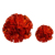 TCYr@4C`| / tBK[|